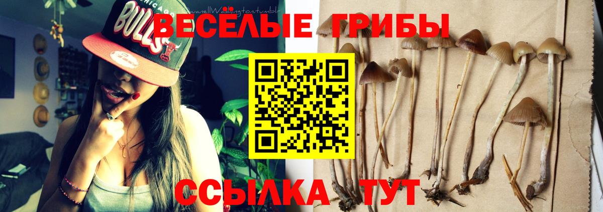 Псилоцибиновые грибы Psilocybe  Галлюциногенные грибы Psilocybe  Вход с VPN  Печора 